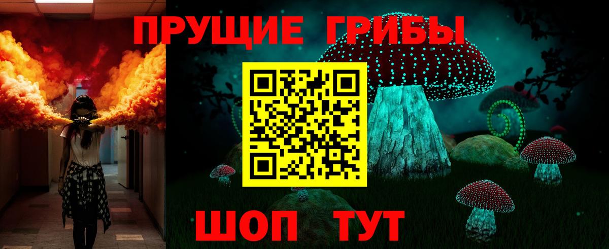 Балашиха  Галлюциногенные грибы Cubensis  Вход с VPN  Псилоцибиновые грибы GOLDEN TEACHER 